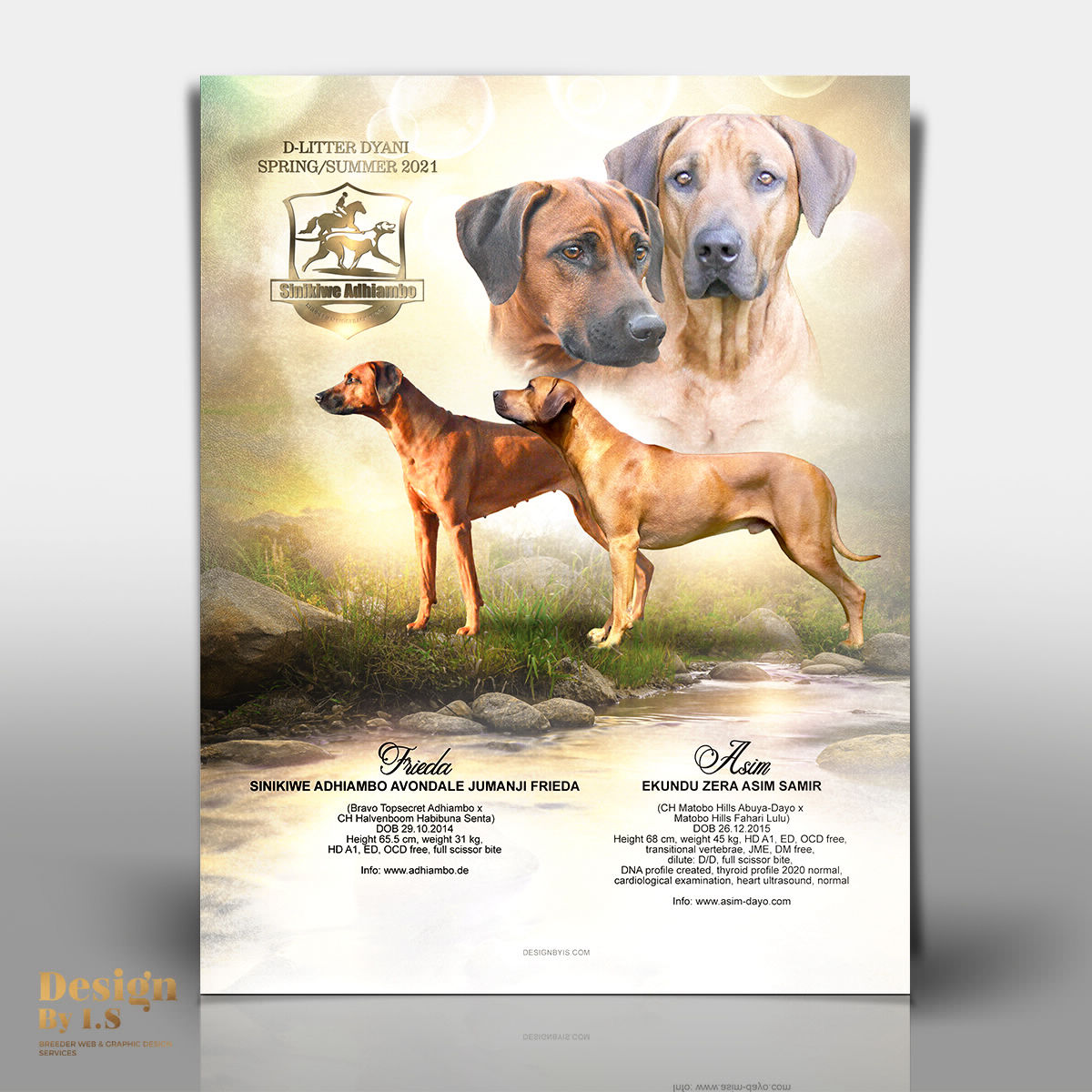 Litter announcements