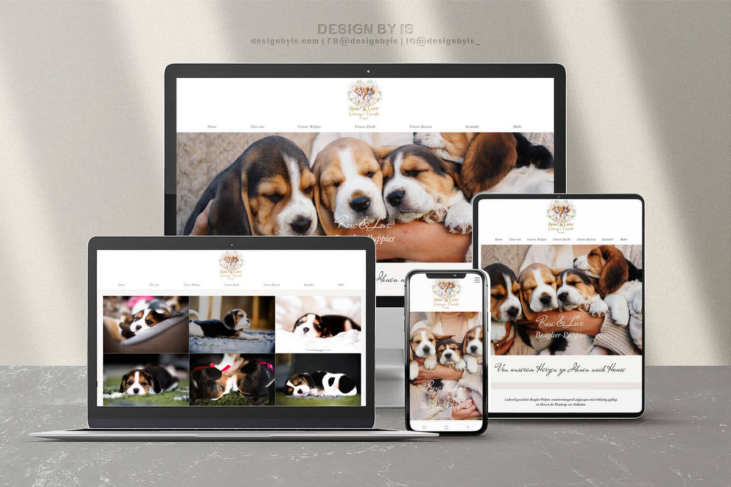 Beaglier breeder website