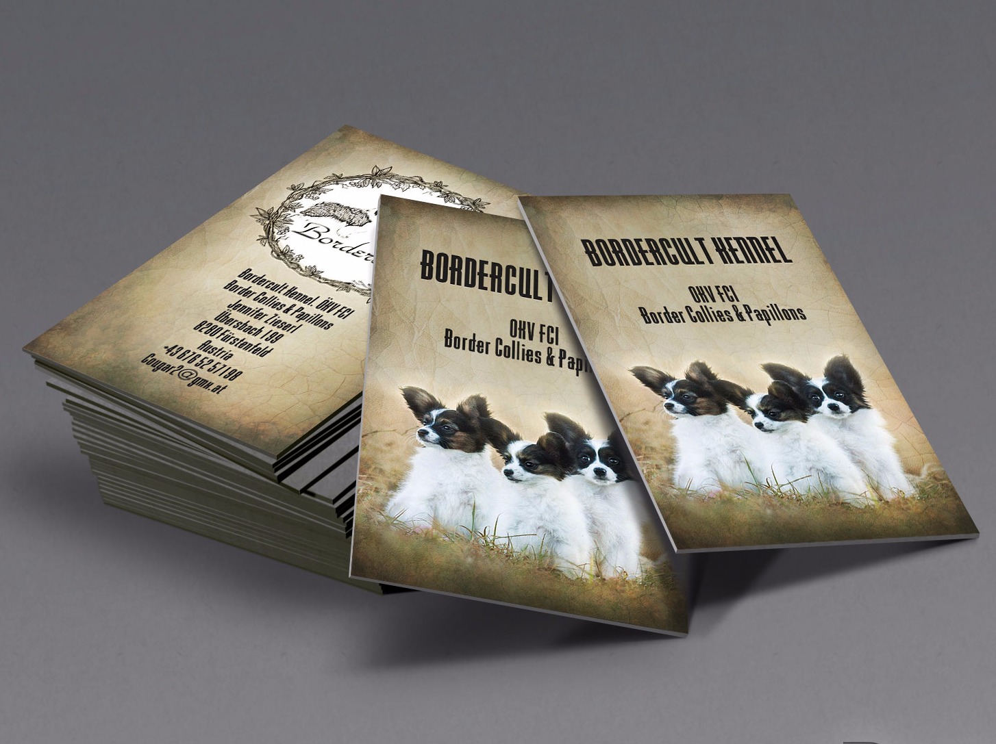 Graphic design for feline breeder