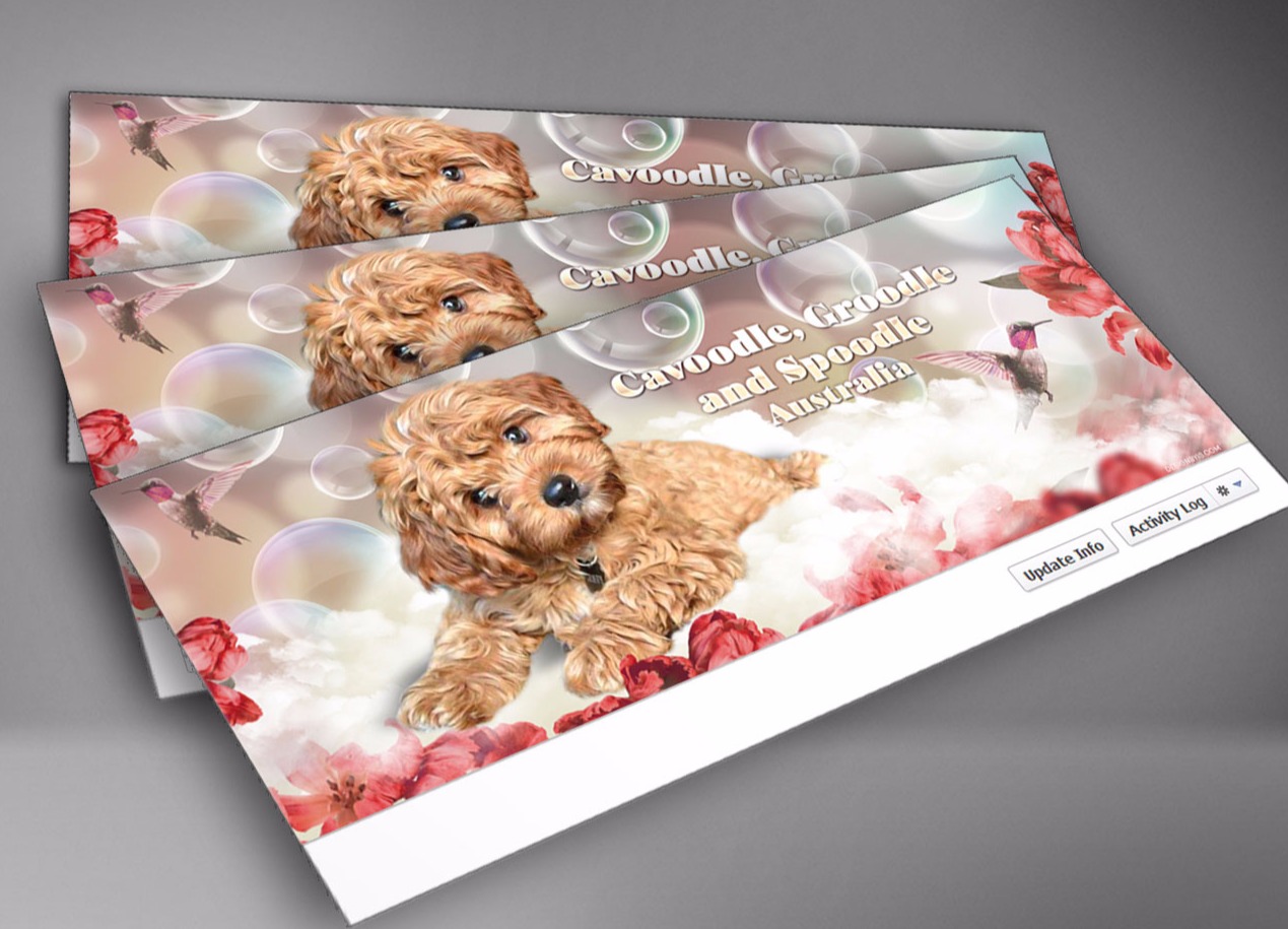 Fb cover design for breeder